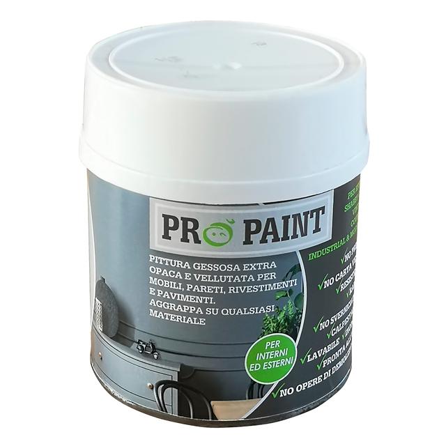 SMALTO ACQUA GESSOSO NOVECENTO PROPAINT 500 ml EMATITE PER SHABBY CHIC 14 m² CON 1 l | Tecnomat SMALTO ACQUA GESSOSO NOVECENTO PROPAINT 500 ml EMATITE PER SHABBY CHIC 14 m² CON 1 l - 2 | Tecnomat