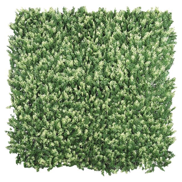 SIEPE SEMPREVERDE CYPRESS 1x1 m | Tecnomat SIEPE SEMPREVERDE CYPRESS 1x1 m - 2 | Tecnomat