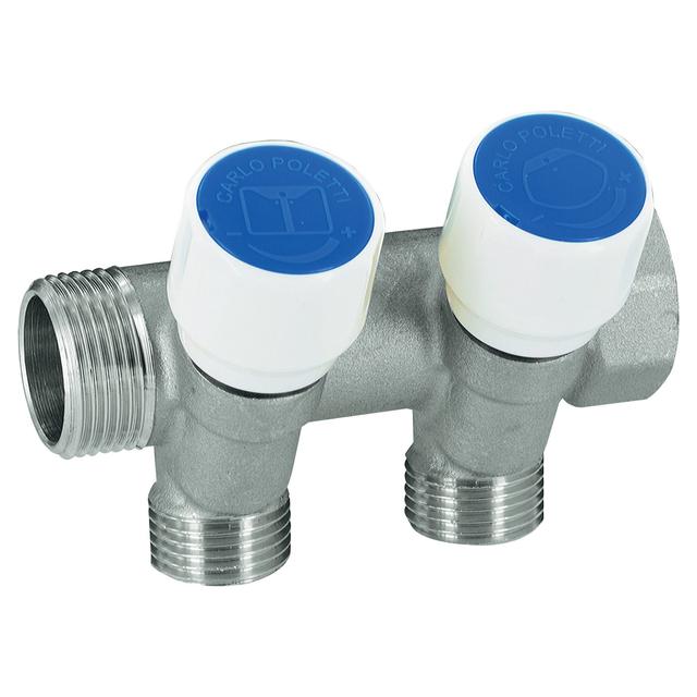 COLLETTORE SANITARIO POLETTI C532 2 VIE M 1/2'' CON RUBINETTO INT. 40 mm INGRESSO MF 3/4'' | Tecnomat COLLETTORE SANITARIO POLETTI C532 2 VIE M 1/2'' CON RUBINETTO INT. 40 mm INGRESSO MF 3/4'' | Tecnomat