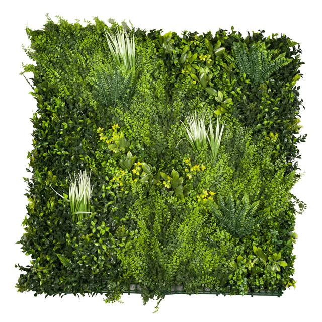SIEPE SEMPREVERDE VERTICALE 1x1 m | Tecnomat SIEPE SEMPREVERDE VERTICALE 1x1 m - 2 | Tecnomat