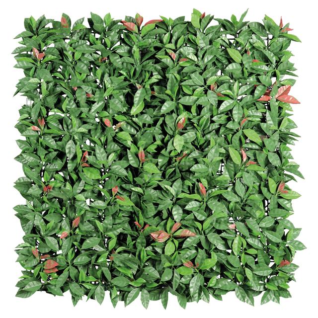 SIEPE SEMPREVERDE REDPLAST 1x1 m | Tecnomat SIEPE SEMPREVERDE REDPLAST 1x1 m - 2 | Tecnomat