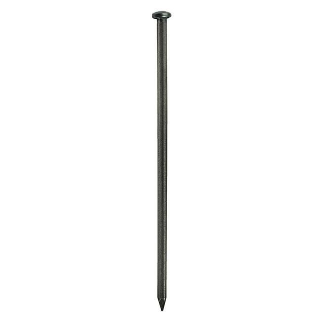 CHIODI ACCIAIO TESTA BOMBATA 16 mm Ø 1,9 mm 256 PEZZI | Tecnomat CHIODI ACCIAIO TESTA BOMBATA 16 mm Ø 1,9 mm 256 PEZZI | Tecnomat