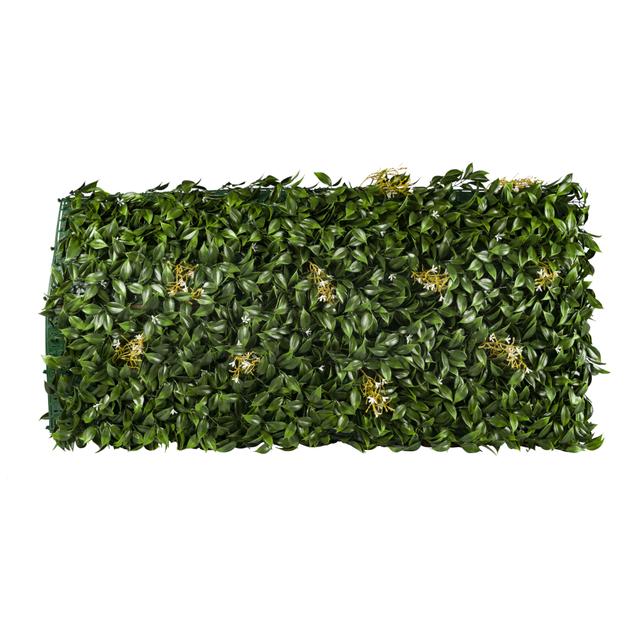 SIEPE SEMPREVERDE GELSOMINO 1x1 m | Tecnomat SIEPE SEMPREVERDE GELSOMINO 1x1 m - 2 | Tecnomat