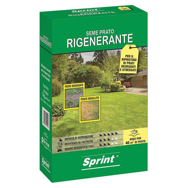 SEME PRATO RIGENERANTE SPRINT PER 40 m² 1 kg | Tecnomat SEME PRATO RIGENERANTE SPRINT PER 40 m² 1 kg | Tecnomat