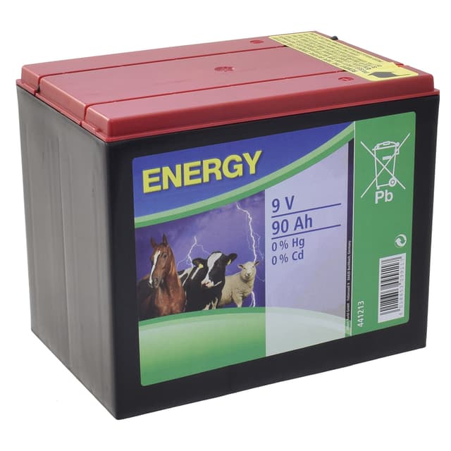 BATTERIA A SECCO ZINCO - ARIA 9 V 90 Ah PER RECINTO ELETTRIFICATO 9 V | Tecnomat BATTERIA A SECCO ZINCO - ARIA 9 V 90 Ah PER RECINTO ELETTRIFICATO 9 V - 2 | Tecnomat