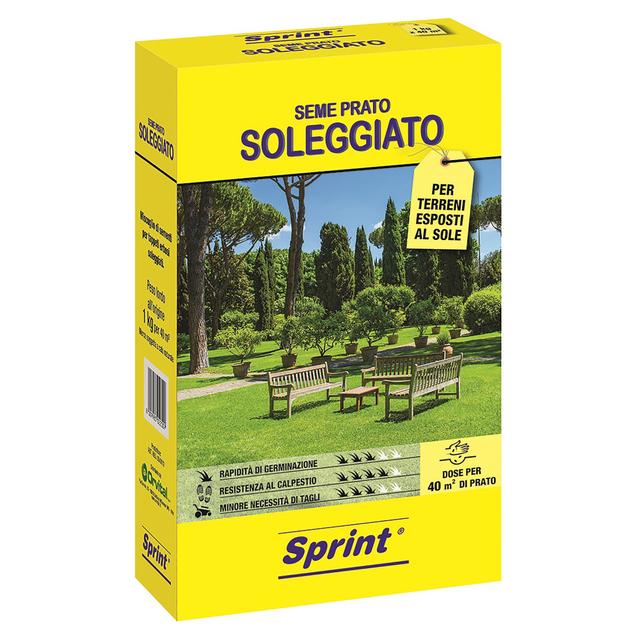 SEME PRATO SOLEGGIATO SPRINT PER 40 m² 1 kg | Tecnomat SEME PRATO SOLEGGIATO SPRINT PER 40 m² 1 kg | Tecnomat