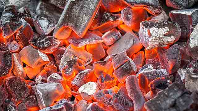 Carbonella e legna per barbecue