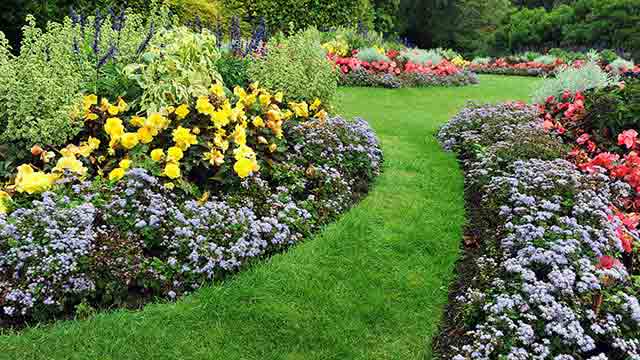 Cura e sistemazione giardino