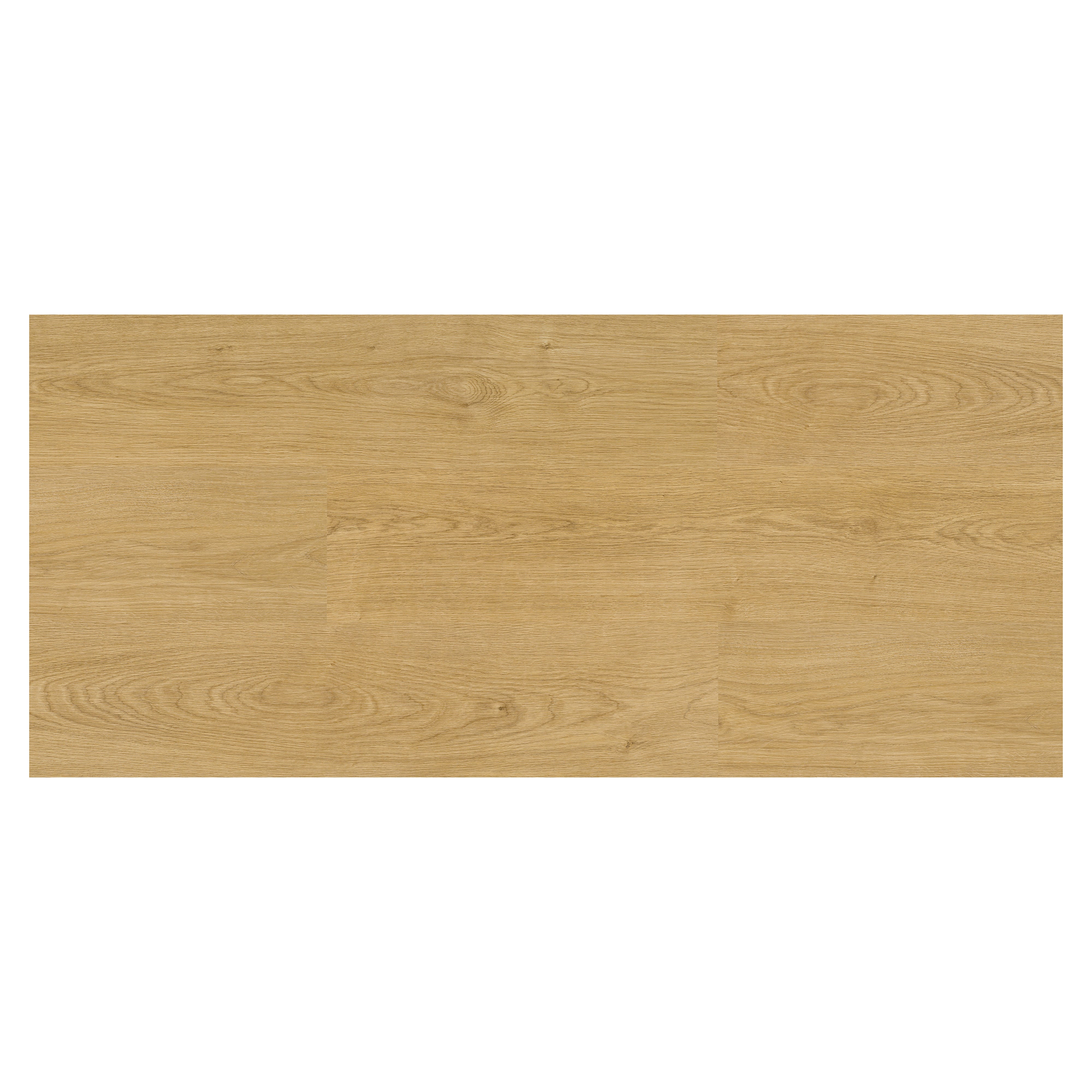 Testine Di Ricambio Per Spazzatrice Antipolvere Robert Scott - Blu 40 Cm Per Pavimenti In Legno E Laminato