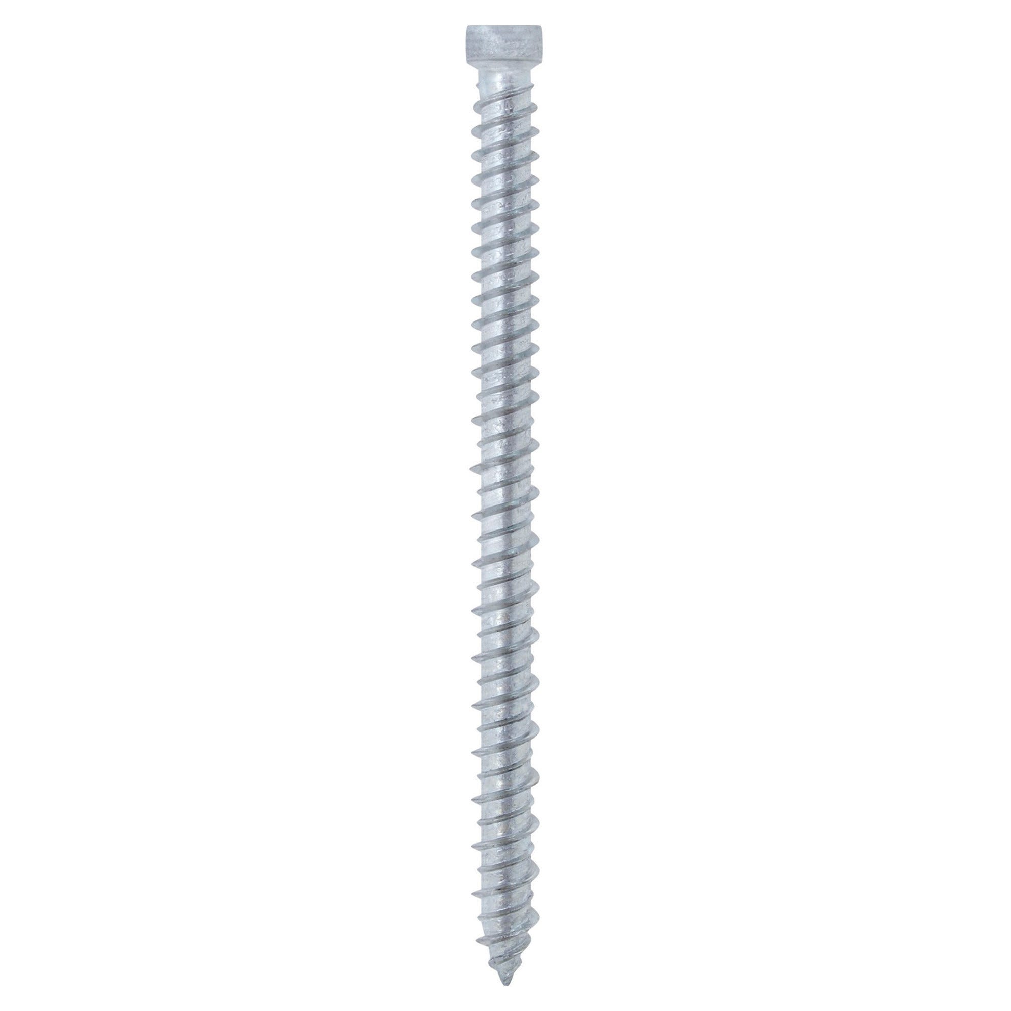 Viti Autofilettanti In Acciaio Inox #8 X 3/4 Di Pollice - Testa Pan, Phillips - Confezione Da 100