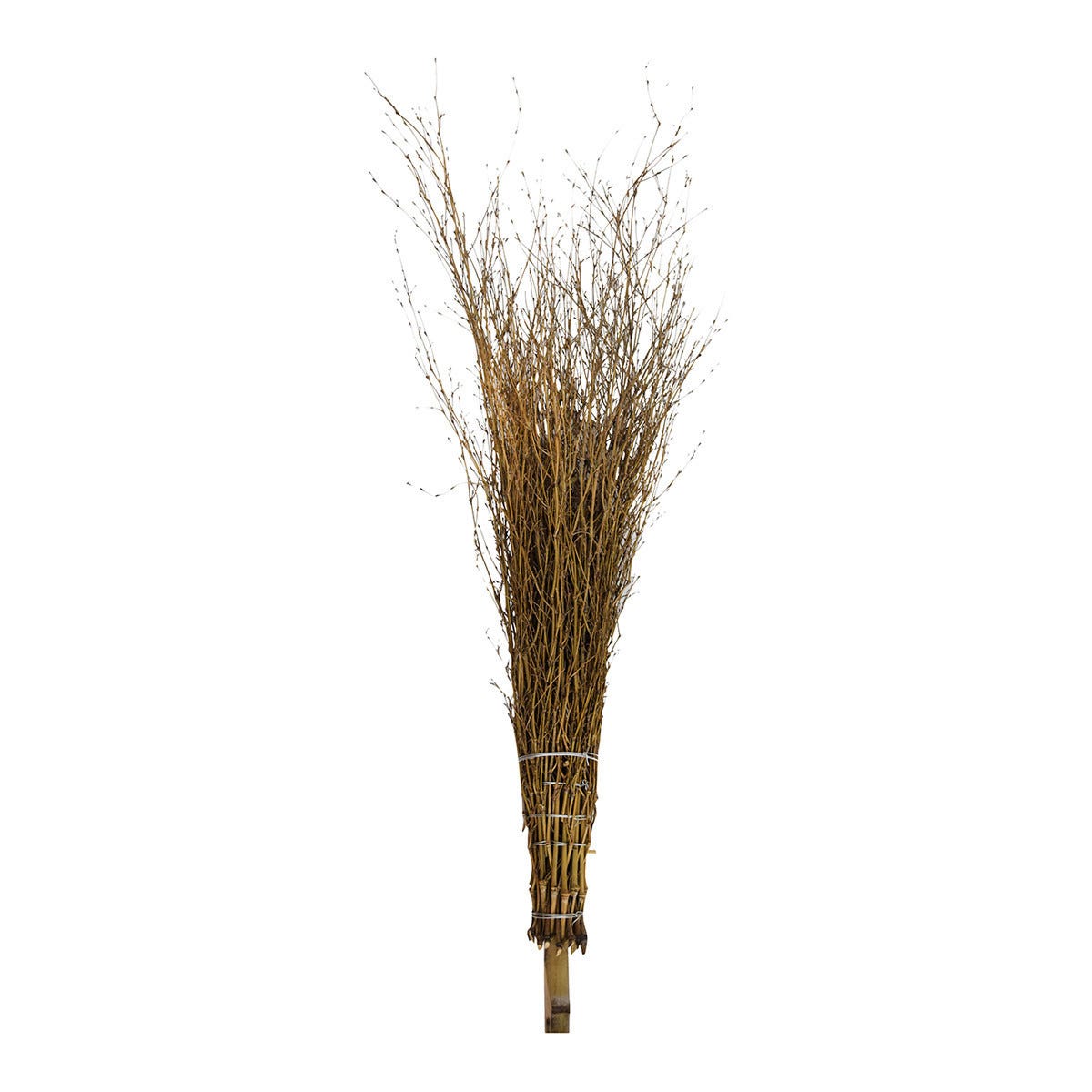 Scopa Stile Indiano Manico Lungo 90 Cm - Multicolore, Ecologica, Per Pavimenti E Tappeti