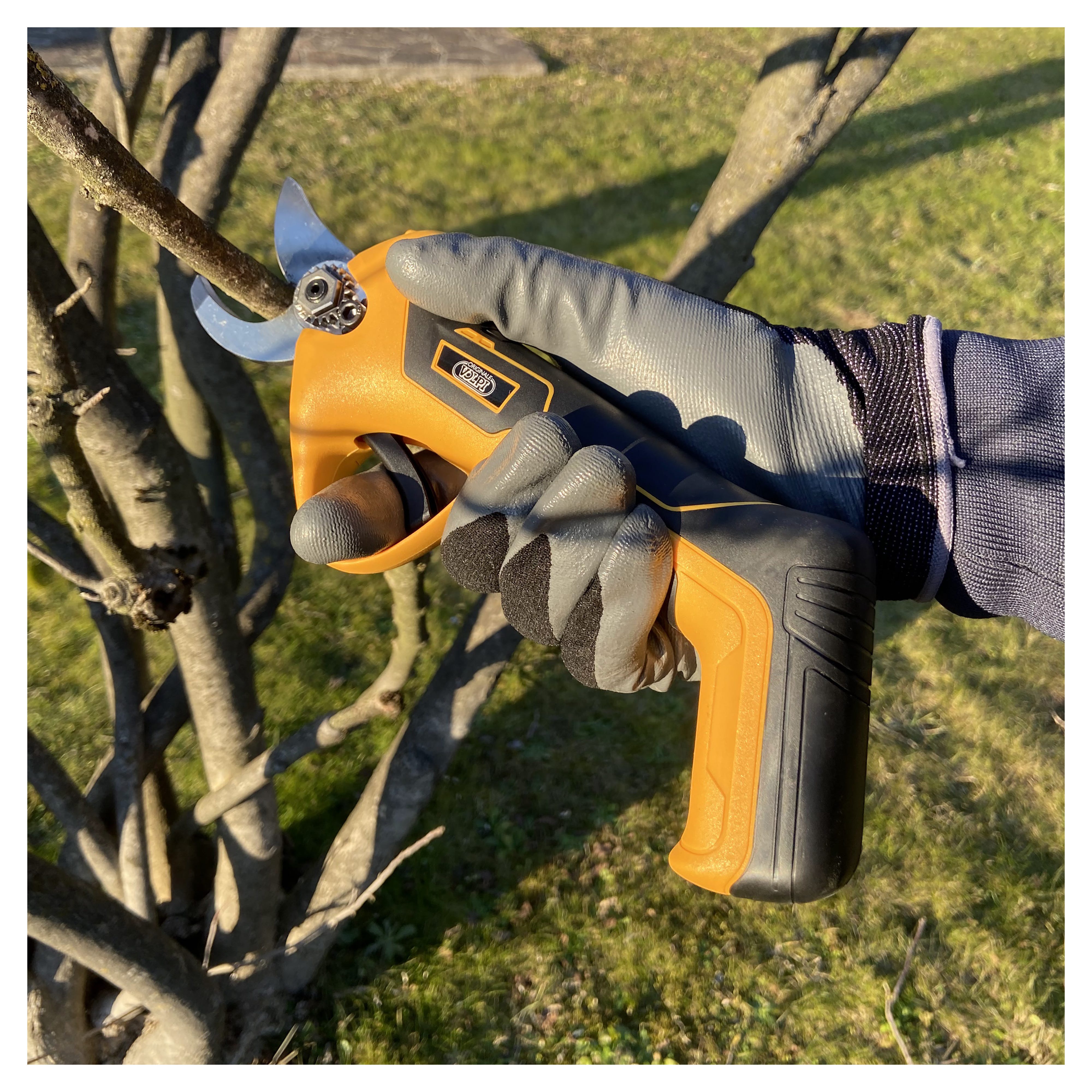 FORBICI DA POTA 0-25MM A BATTERIA 16V - Ingco Italia