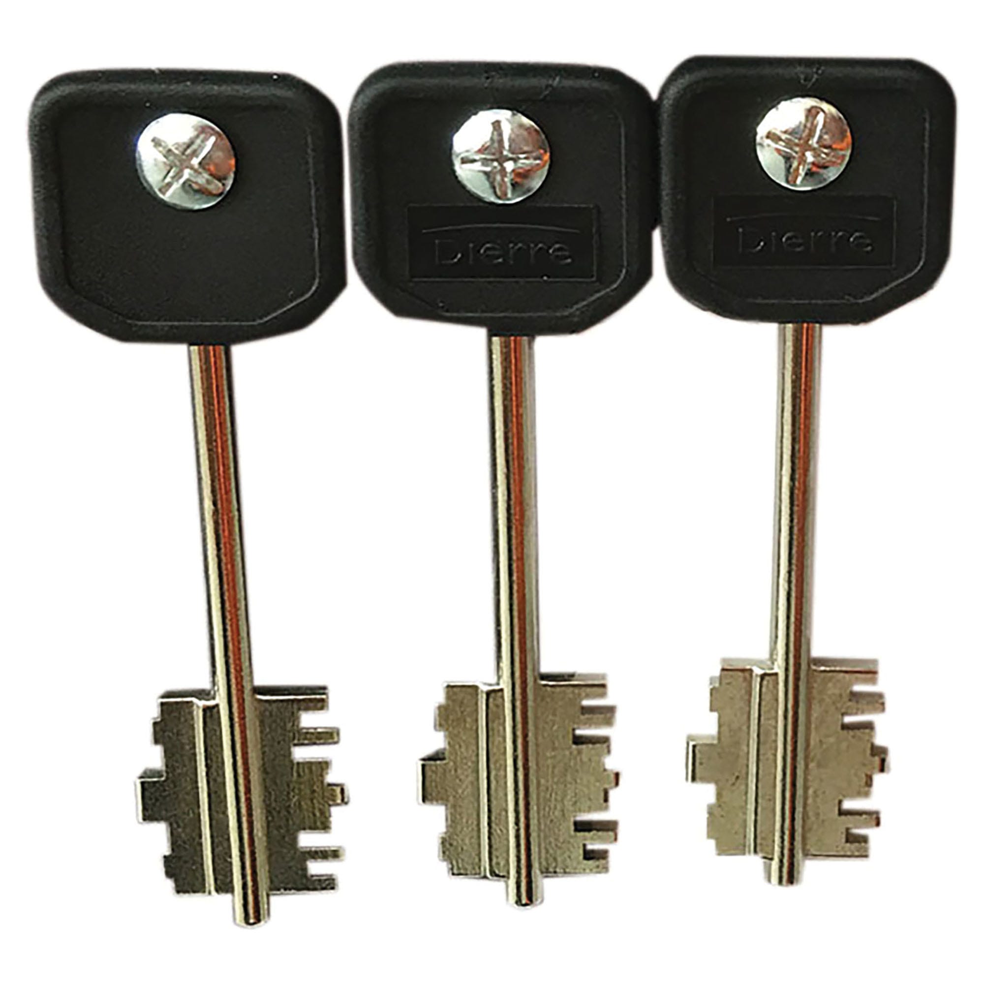 Master Lock 410MKORJ, Lucchetto a chiave differenziata per chiave maestra | Batter Fly