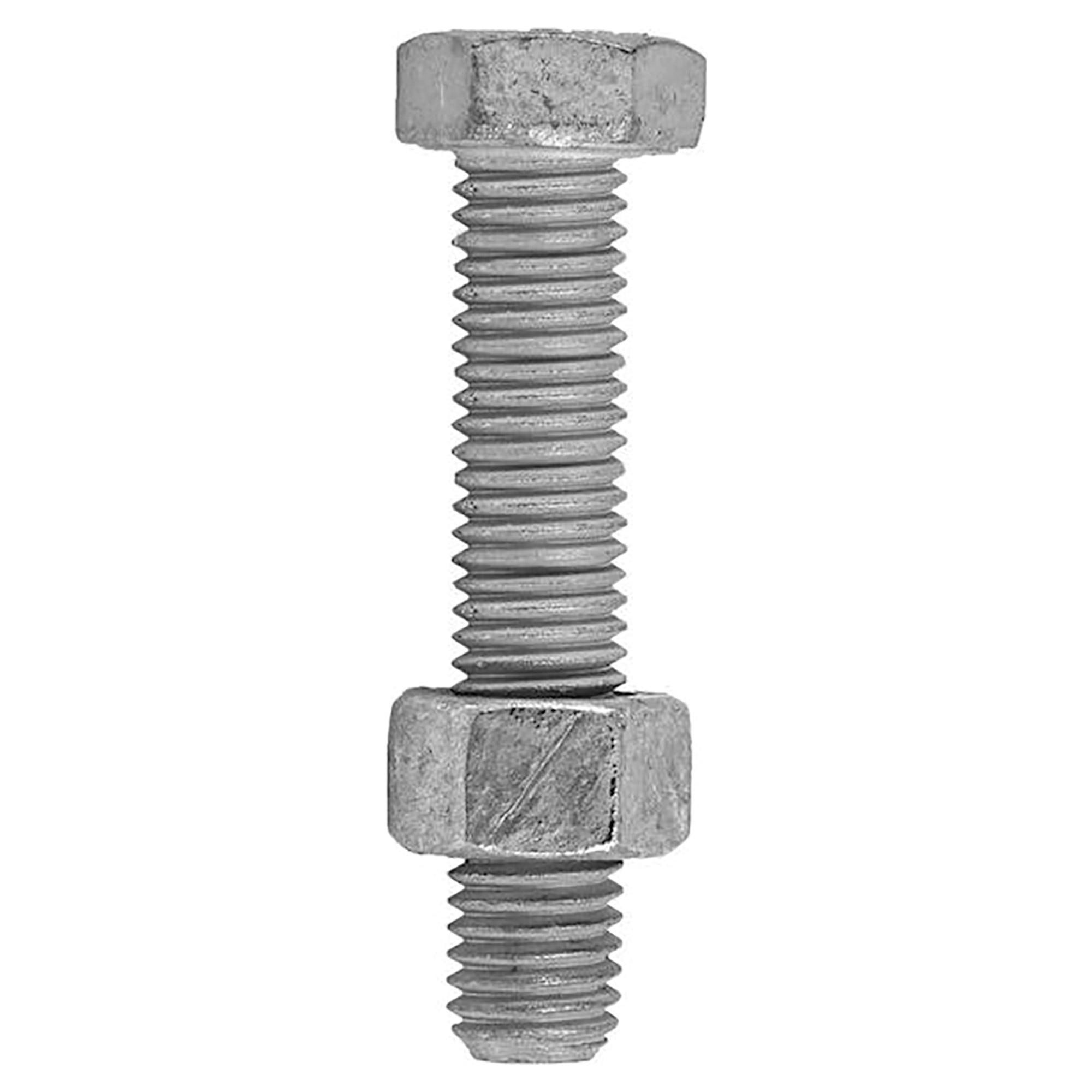25 Bulloni Per Carrello M5x20 Mm Acciaio Inox A2 – DIN603, Testa Tonda (FAS CBM05X020A2)
