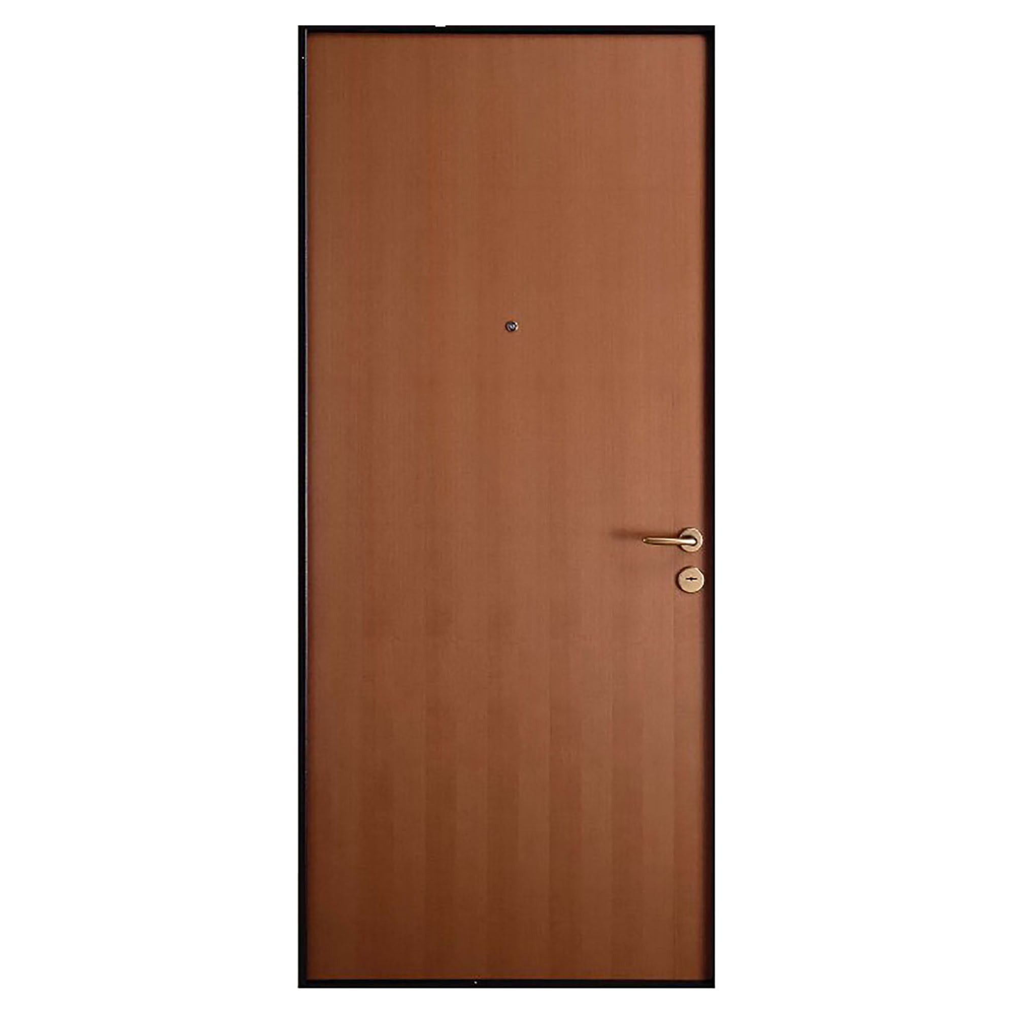 Manopola Di Tono Della Charra Immagine Stock - Immagine Di Potenza - Foto 3