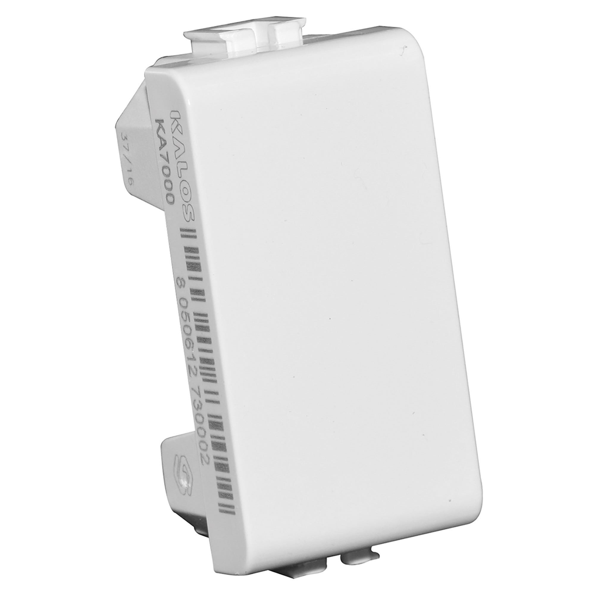 RSI BB.NN. BRIGATE NERE FREGIO PER COPRICAPO TESCHIO CON PUGNALE RSI
