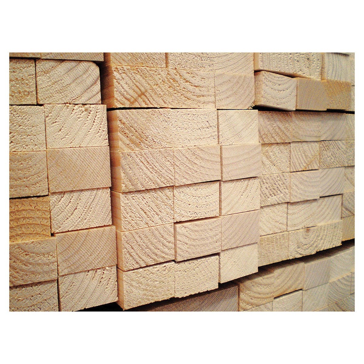 10 Listelli Abete Grezzo 20x40x2000 Mm - Legno Naturale Per Fai Da Te E Costruzioni - Foto 10