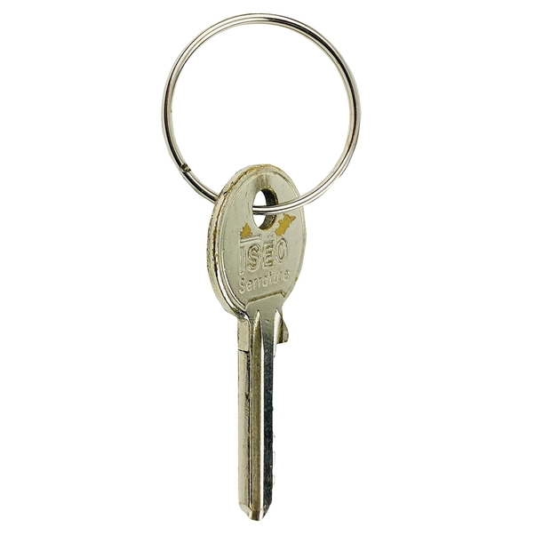 Anelli Portachiavi In Acciaio Nichelato - Diametro 22mm, Confezione Da 10 Pezzi - Foto 8