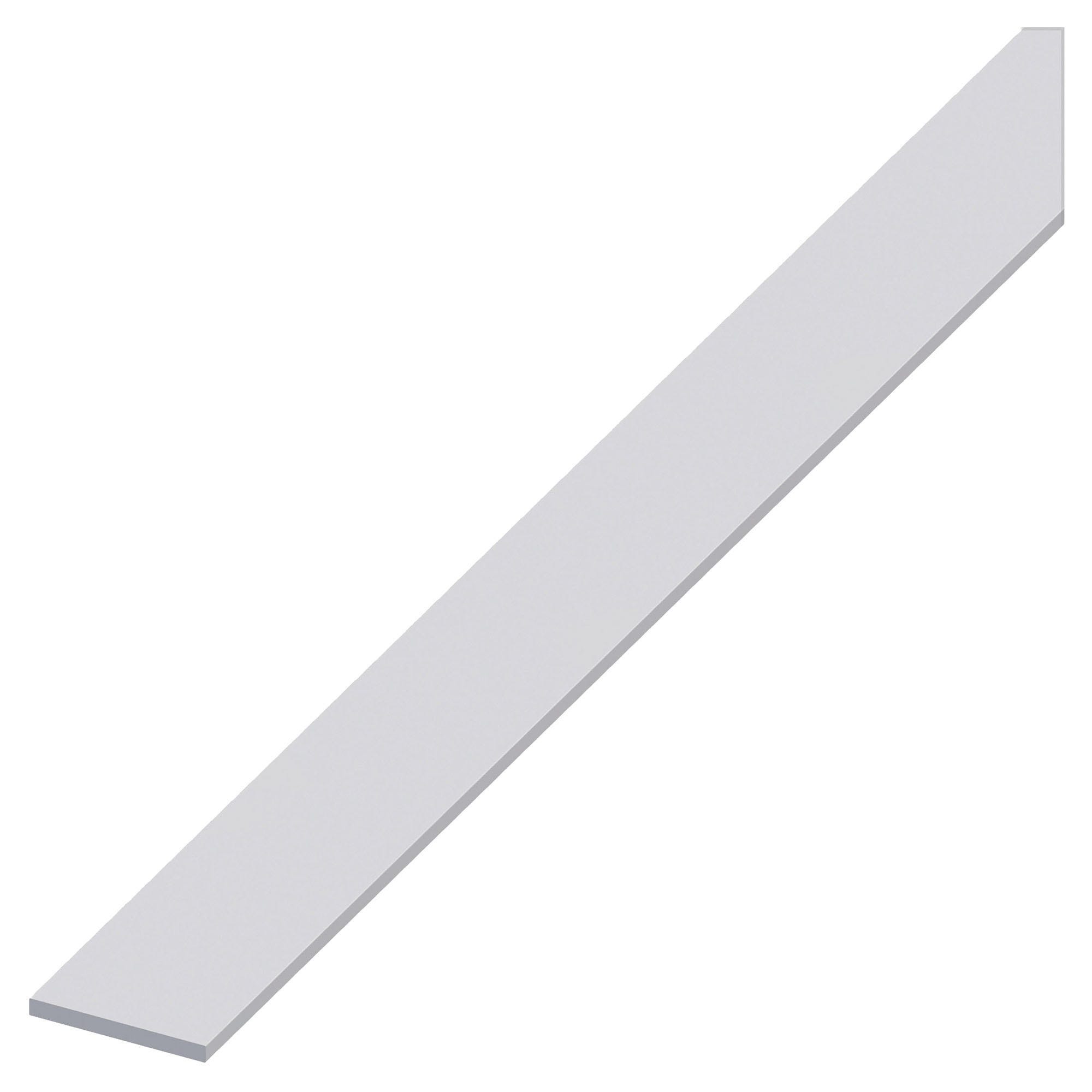 Barra piatta inox AISI 316 25x8 mm