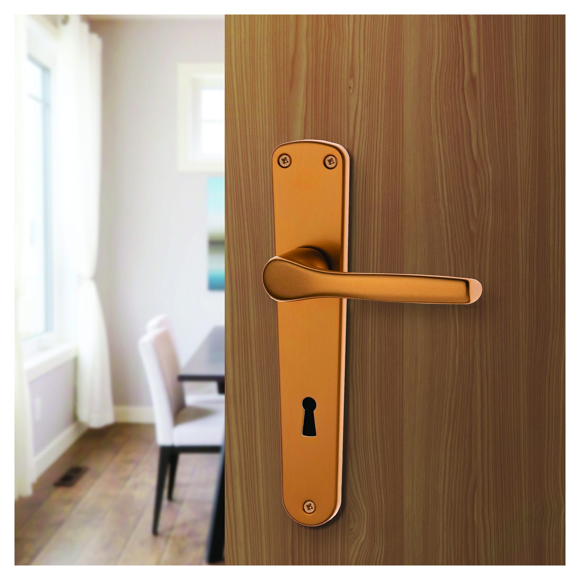 Maniglia Placca Ottone Al Miglior Prezzo | Leroy Merlin - Foto 6