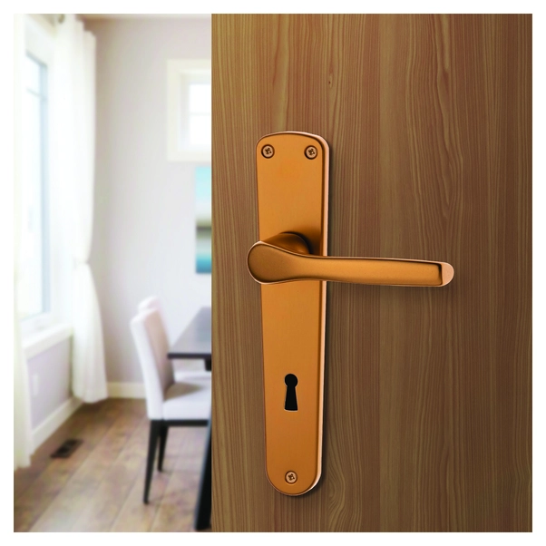 Maniglia Placca Ottone Al Miglior Prezzo | Leroy Merlin - Foto 6